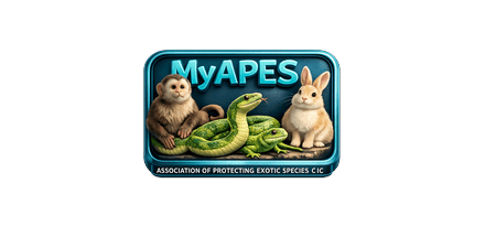 MyAPES